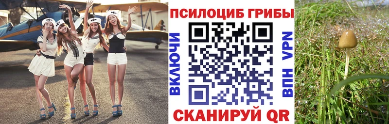 где найти наркотики Беслан Галлюциногенные грибы MAGIC MUSHROOMS