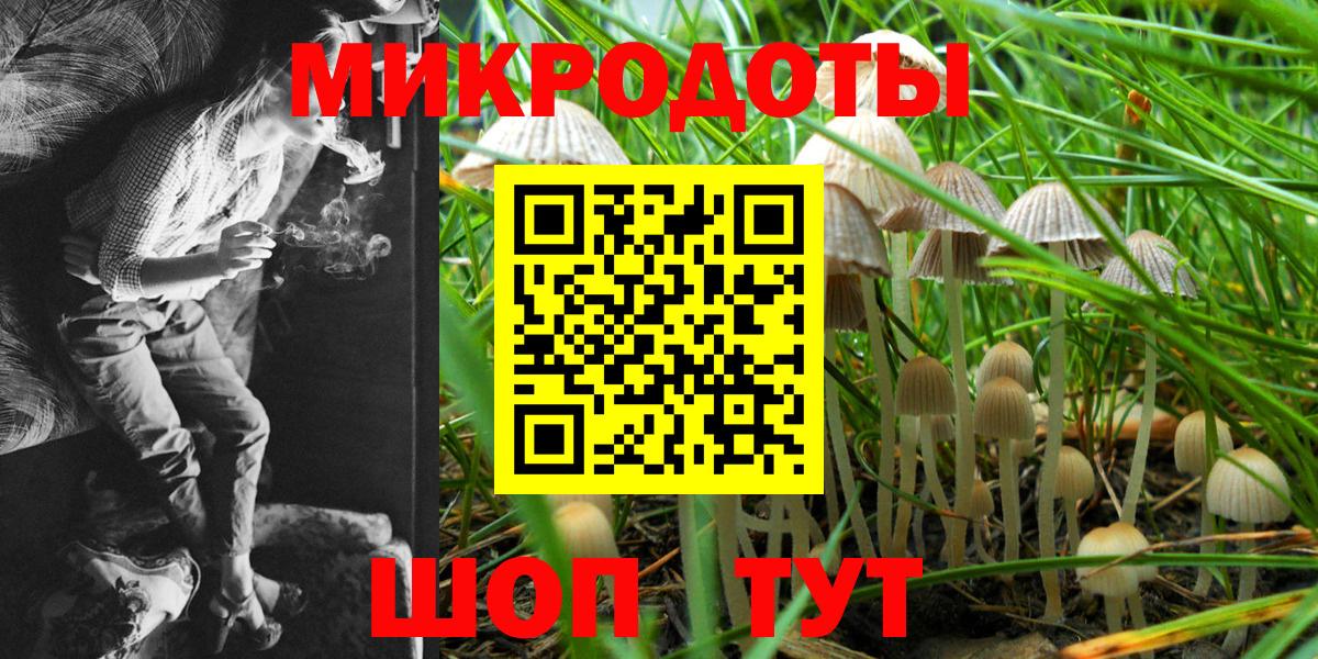 Псилоцибиновые грибы Psilocybine cubensis Беслан