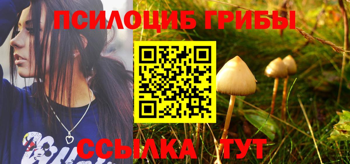 Псилоцибиновые грибы Cubensis  Псилоцибиновые грибы мицелий  Беслан 
